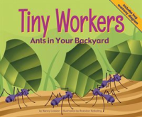 Tiny_Workers